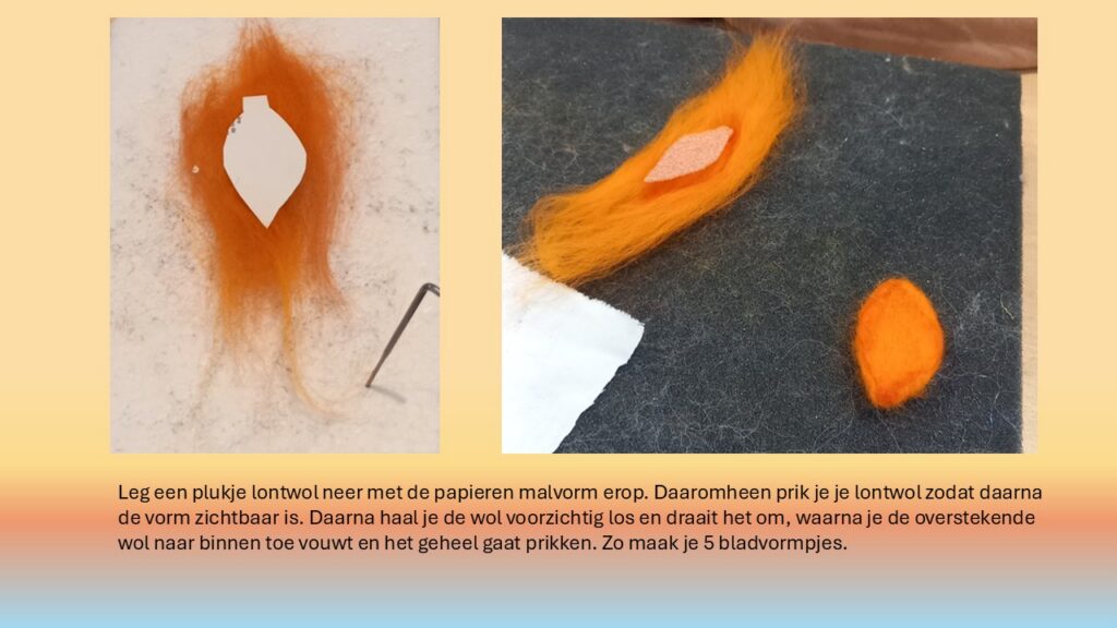 foto2
